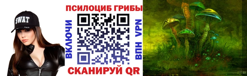 купить наркоту  Шелехов  МЕГА вход  Галлюциногенные грибы мухоморы 